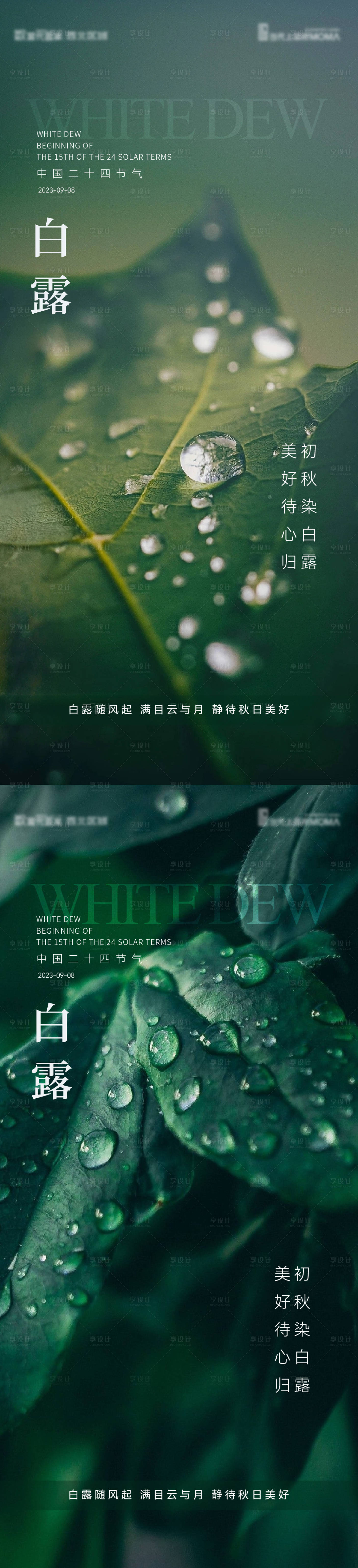 源文件下载【享设计】搜索编号：65140019034084429【白露节气海报】