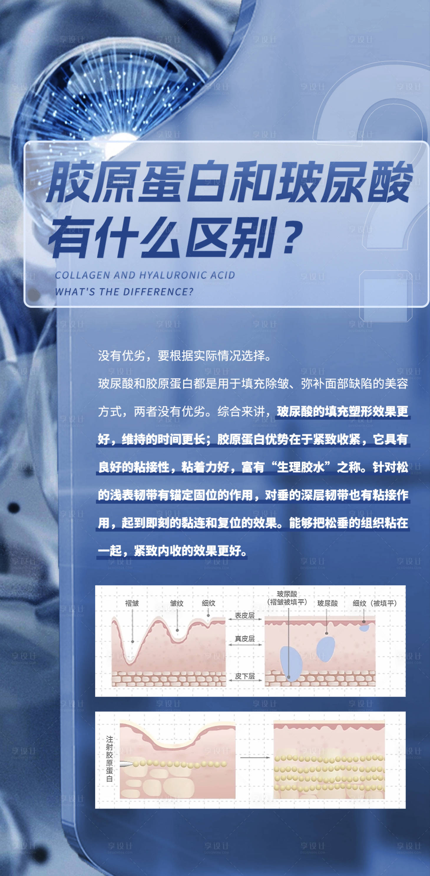 源文件下载【享设计】搜索编号：53890018607287038【胶原蛋白科普海报】