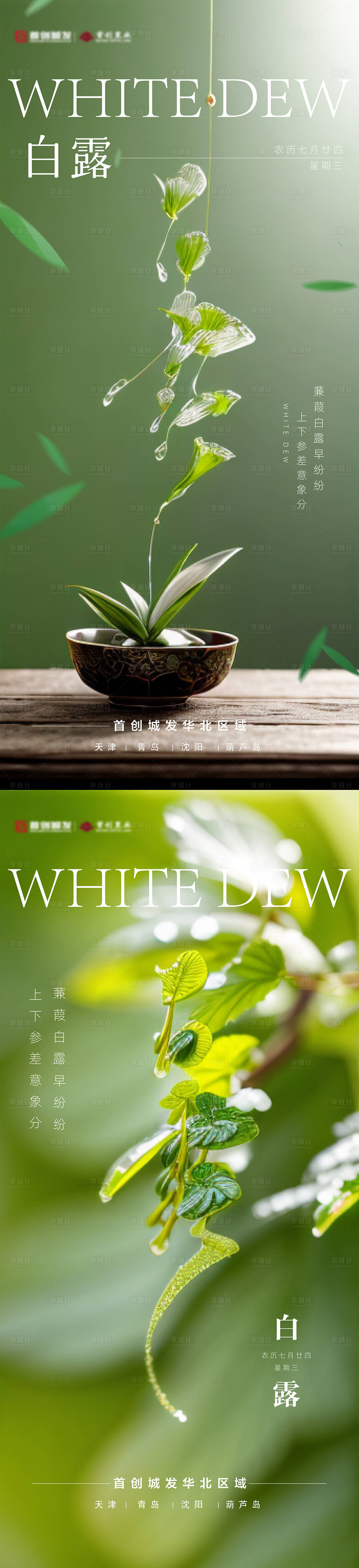 白露节气系列海报AI广告设计素材海报模板免费下载-享设计