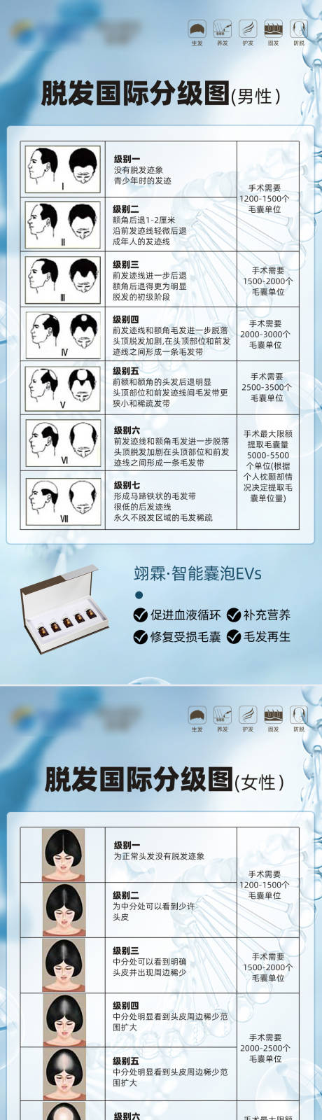 源文件下载【毛发头发自测表】编号：25890019065578286