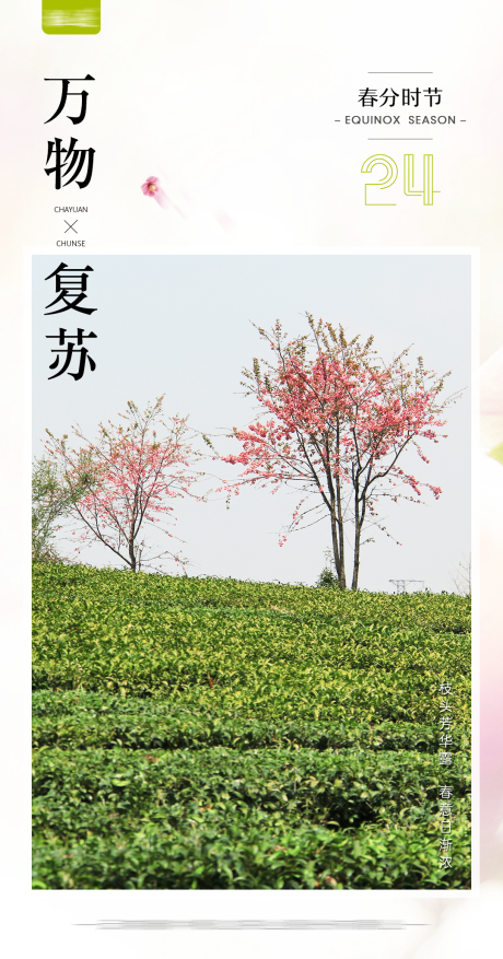 源文件下载【享设计】搜索编号：28220019044276538【春分海报】