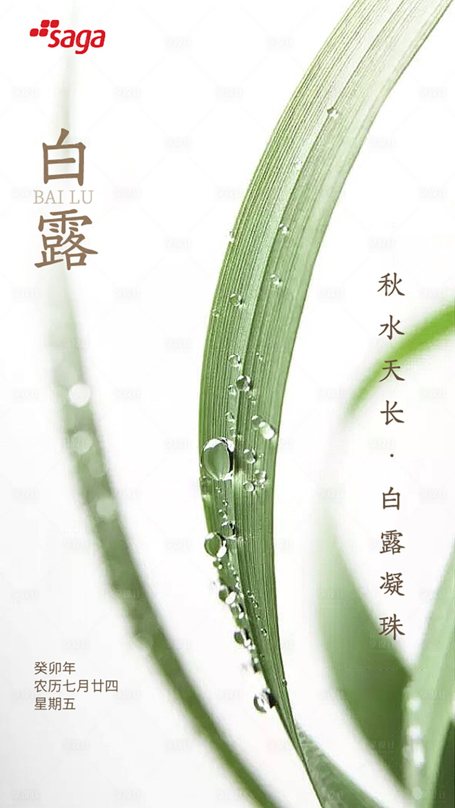 源文件下载【享设计】搜索编号：99180019043271143【白露海报】