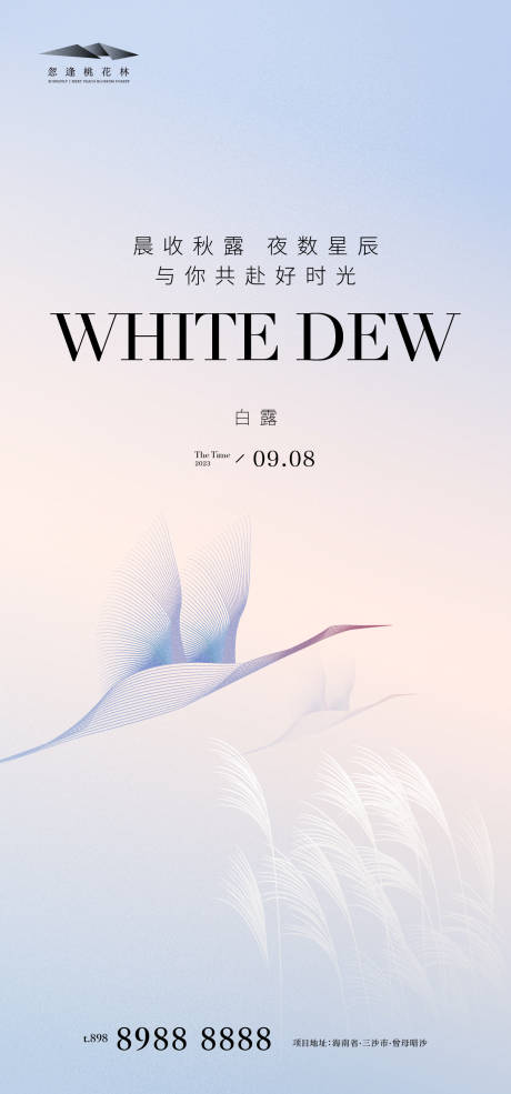 源文件下载【白露创意海报】编号：96310018564696347
