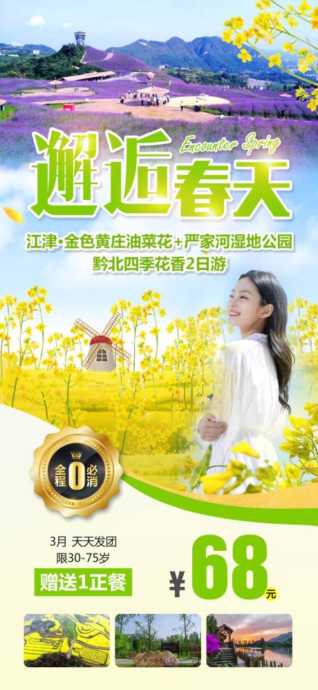 源文件下载【春天赏花旅游海报】编号：95480018629157184