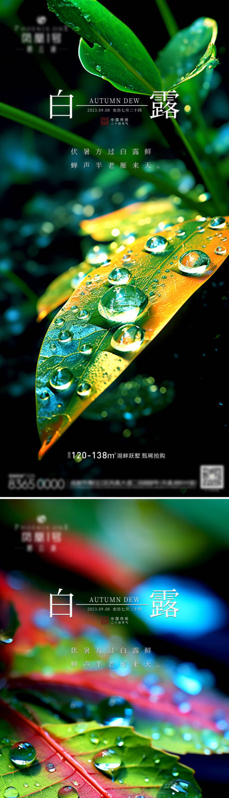源文件下載【地產白露節氣系列海報】編號：80650019044416013
