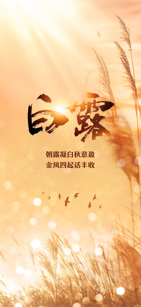 源文件下载【二十四节气之白露海报】编号：25610018954606195