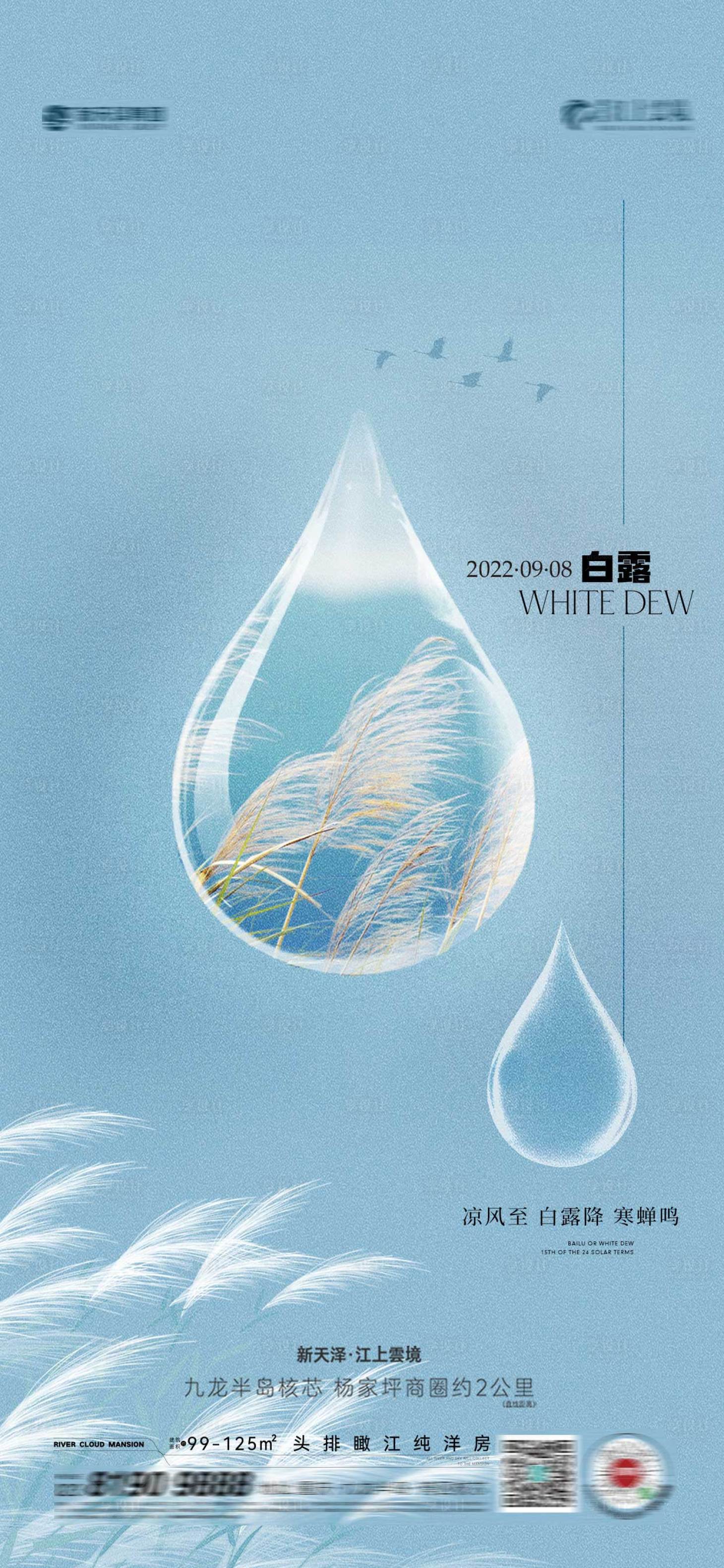 源文件下载【白露海报】编号：19500018965747192