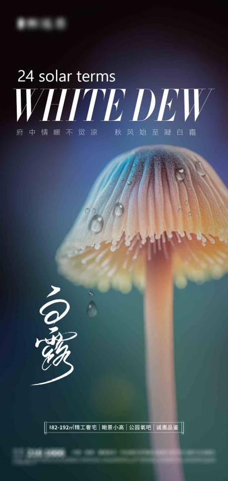 源文件下载【享设计】搜索编号：25710019024691855【白露节气海报】