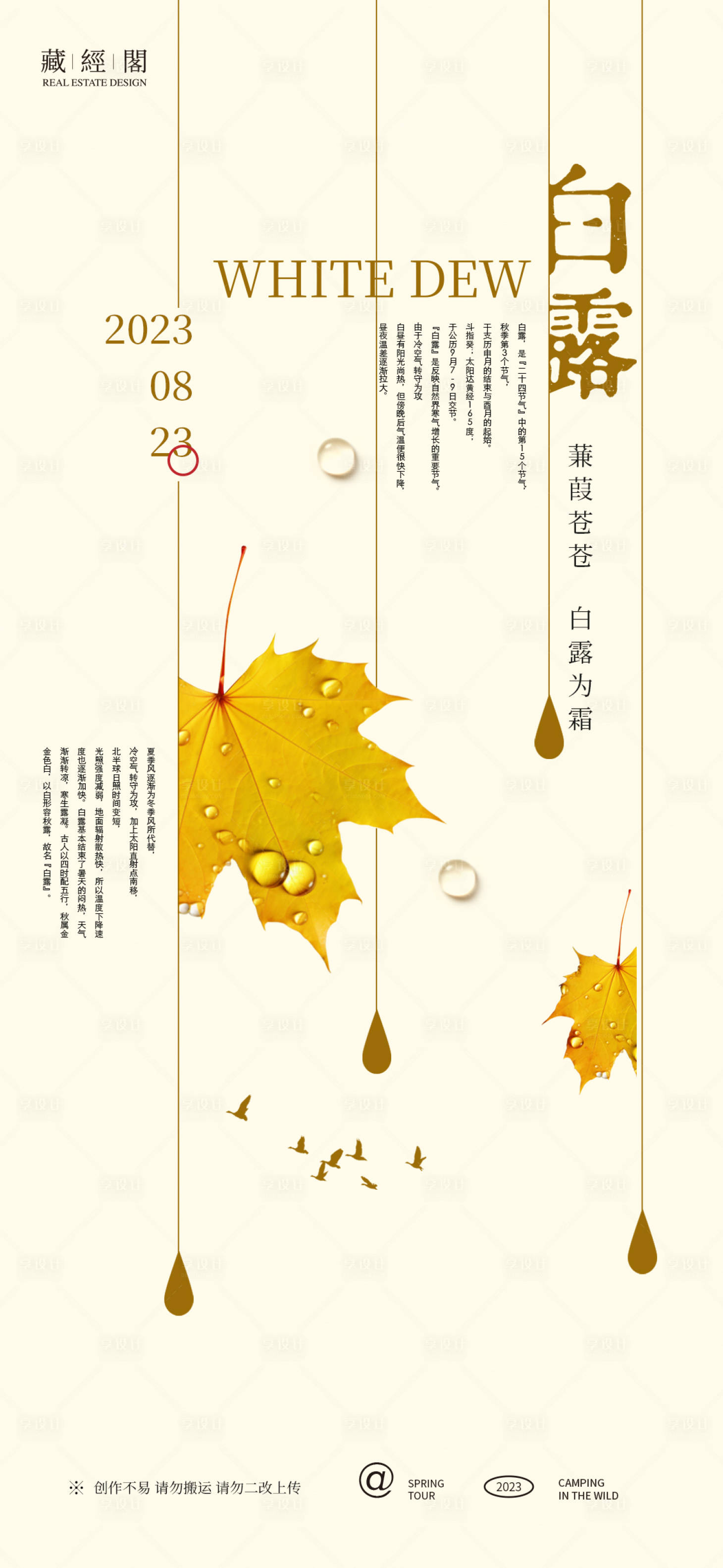 源文件下载【白露海报】编号：95220018896771155