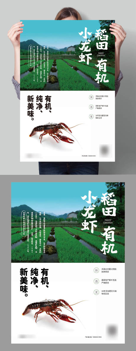 小龙虾美食宣传系列海报