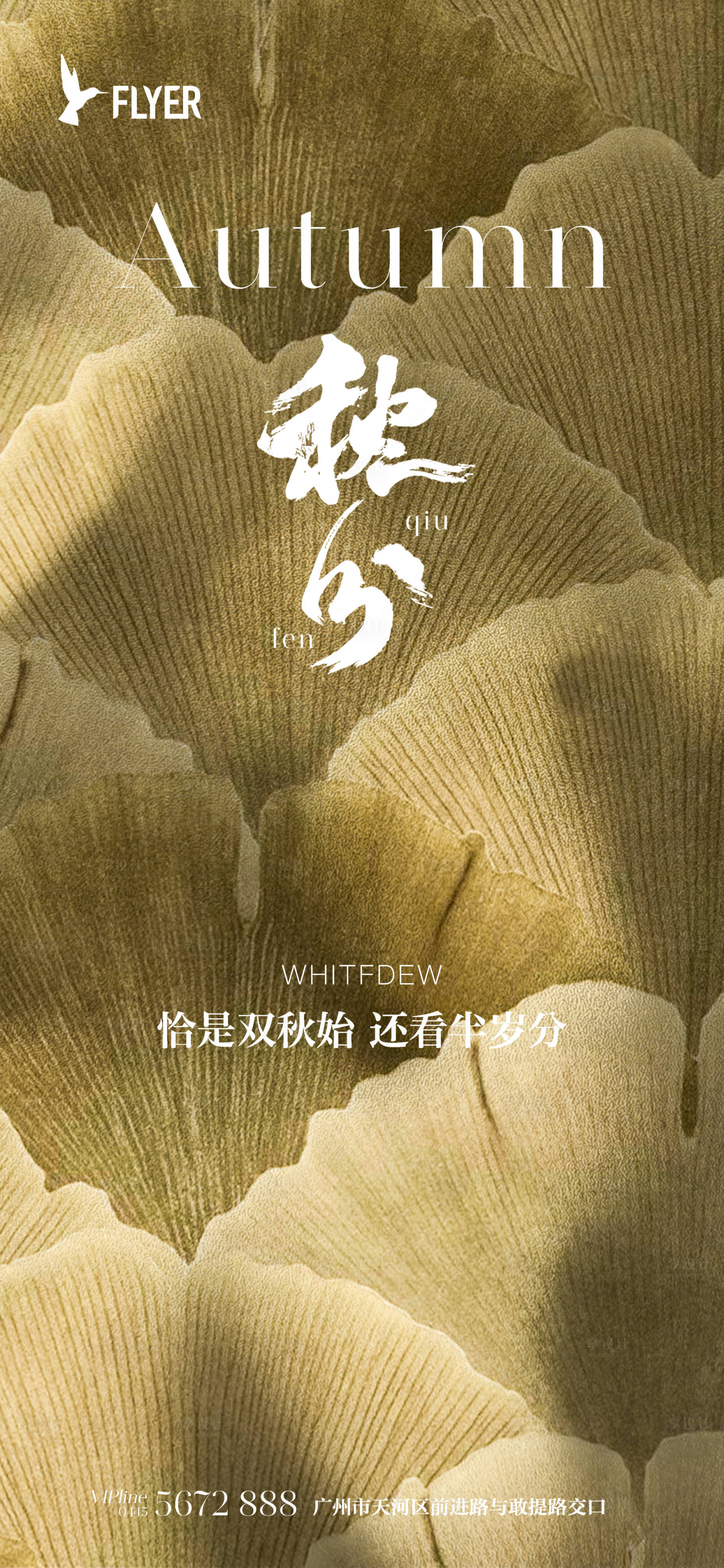 源文件下载【秋分节气海报】编号：39520019080033800