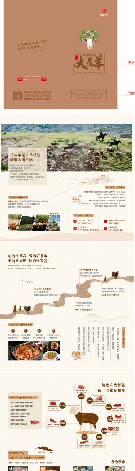 源文件下载【羊肉画册】编号：10000018861327530