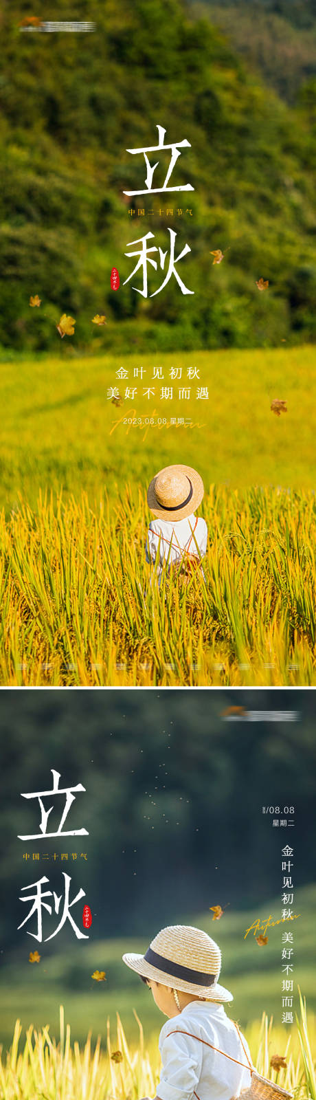 源文件下载【立秋节气系列海报】编号：60250018558752161