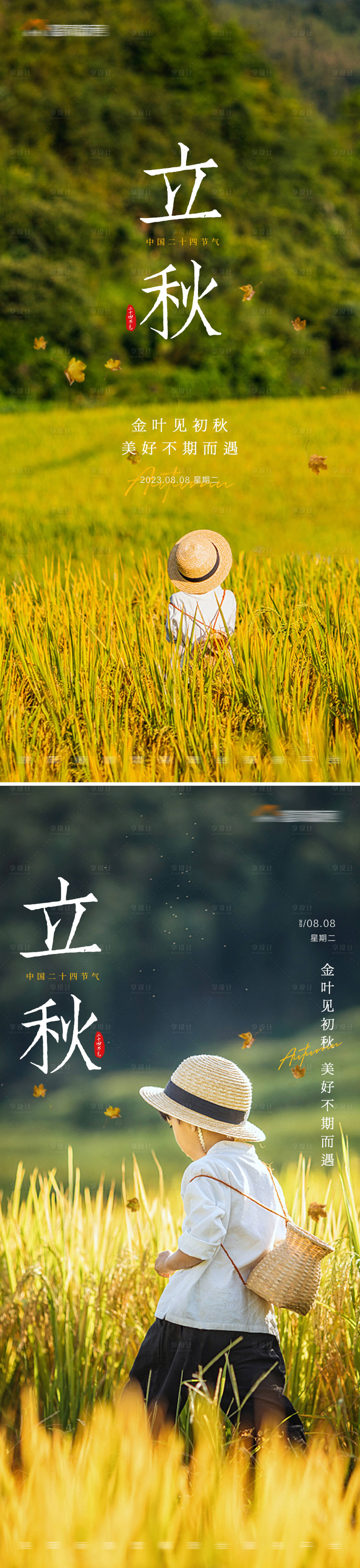 源文件下载【享设计】搜索编号：60250018558752161【立秋节气系列海报】