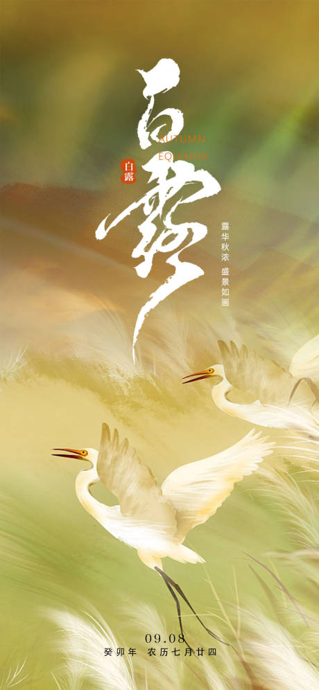 源文件下載【享設計】搜索編號：46510018837603928【白露節氣海報】