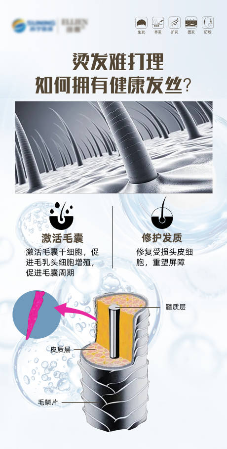 源文件下载【毛发翊霖产品海报】编号：24620018918146537