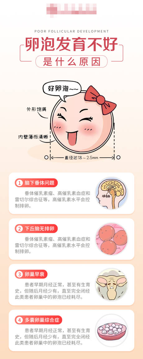 源文件下载【卵泡发育不好的原因是什么】编号：27820018541971363