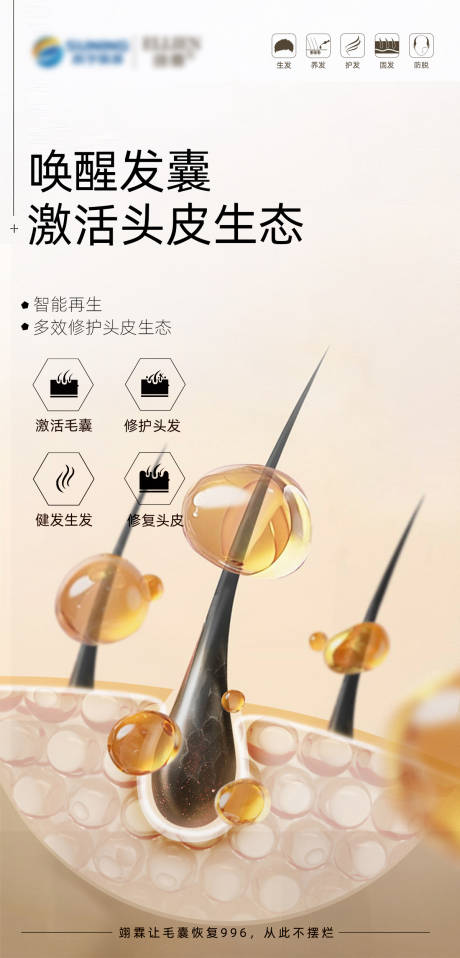 源文件下载【毛发翊霖产品海报】编号：69390018960665920