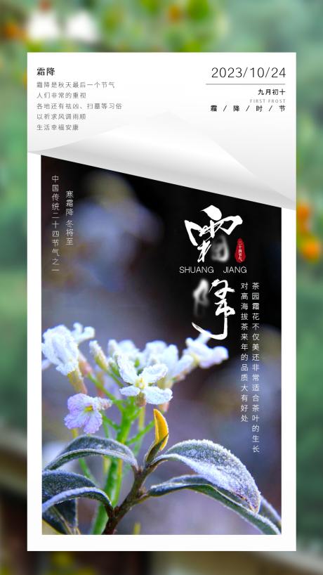 源文件下载【霜降节气海报】编号：51340019004879708