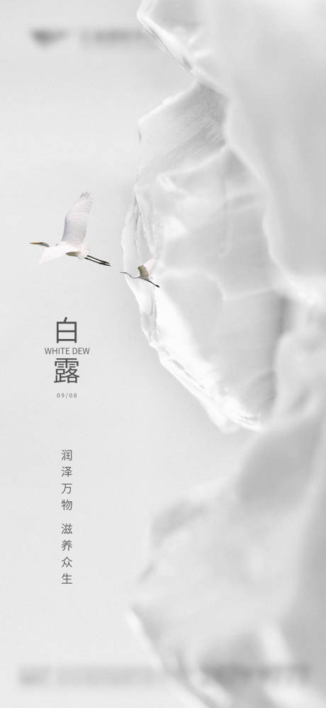 源文件下载【地产白露节气海报】编号：94500019004911631