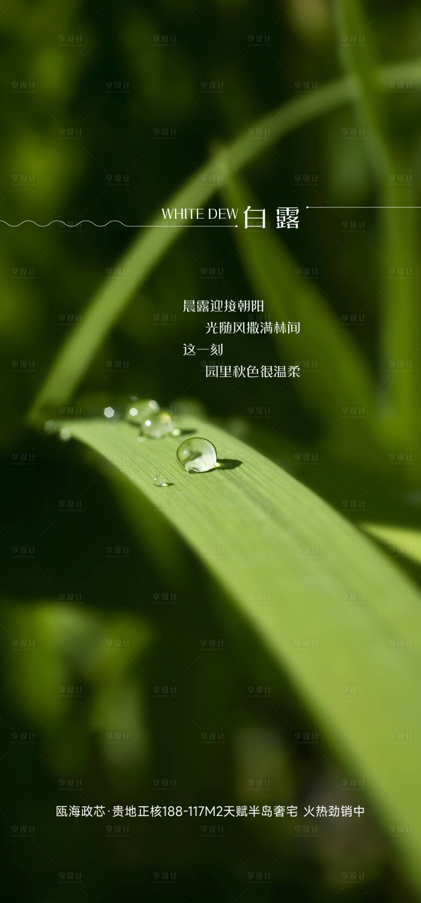 源文件下載【享設(shè)計(jì)】搜索編號(hào)：56660019098449390【白露節(jié)氣海報(bào)】