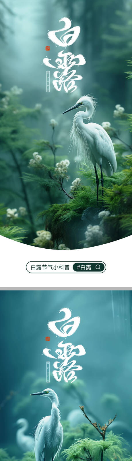 源文件下载【白露海报】编号：47580019180598391