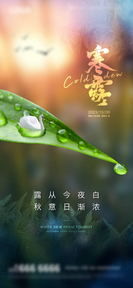 源文件下载【享设计】搜索编号：98900019516057061【地产寒露海报】
