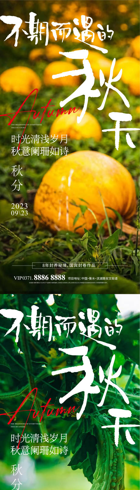源文件下载【秋分节气海报】编号：46550019411392308