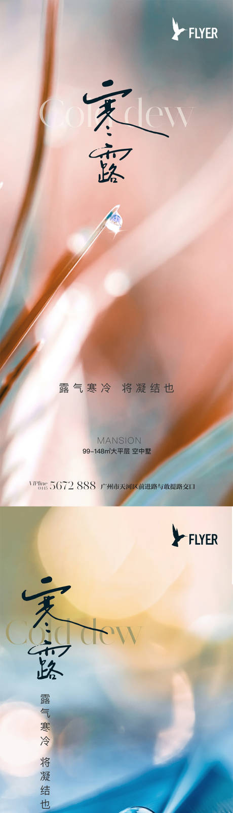 源文件下載【享設計】搜索編號：75680019417028768【寒露海報】