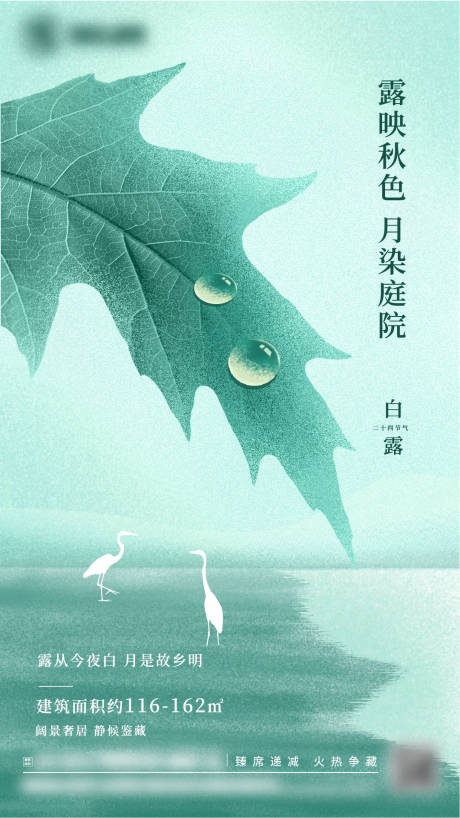 源文件下载【地产白露海报】编号：20230905170546579