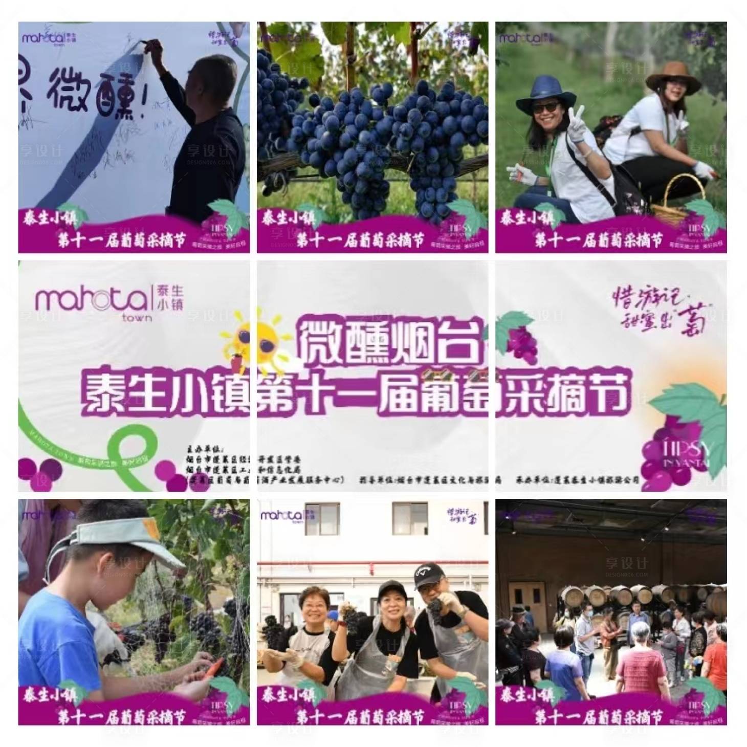 源文件下载【葡萄采摘节九宫格】编号：16600019575371626