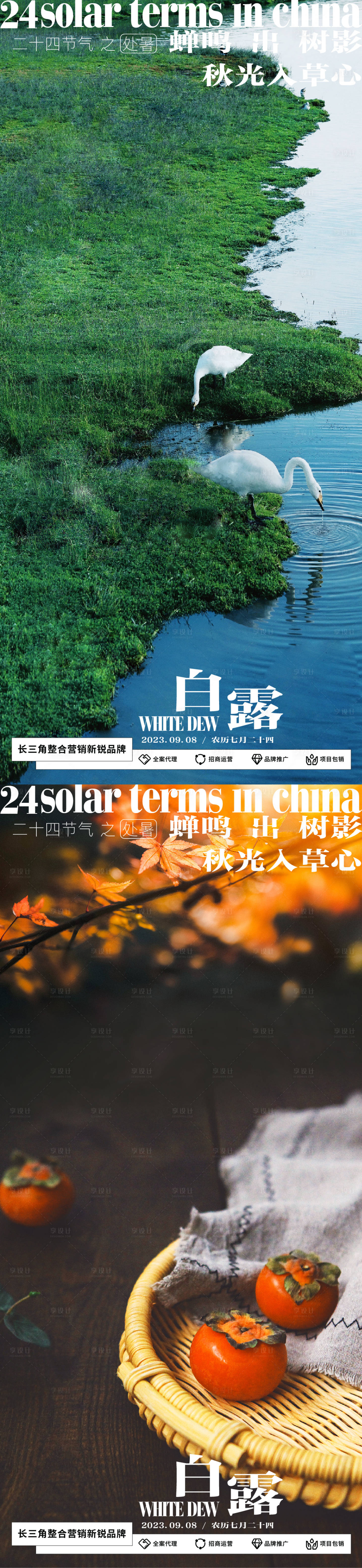 源文件下载【享设计】搜索编号：19690019166473859【白露海报】