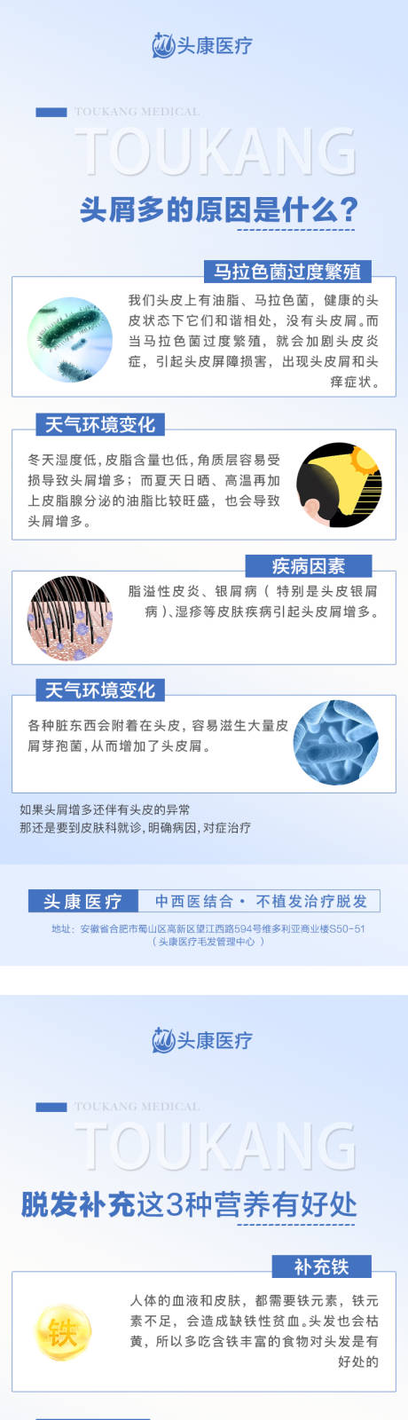 源文件下載【頭皮科普海報】編號：12440019541421126