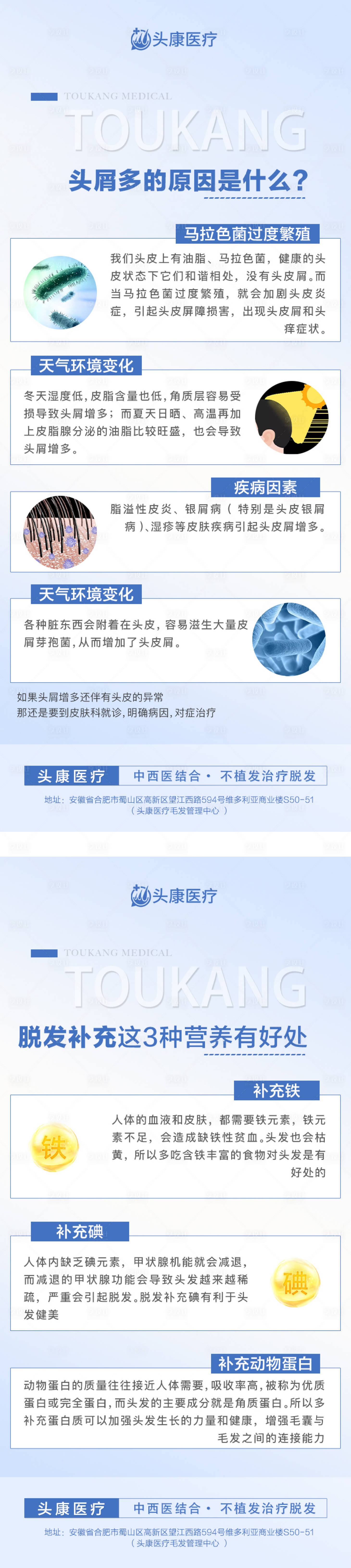 源文件下载【头皮科普海报】编号：12440019541421126