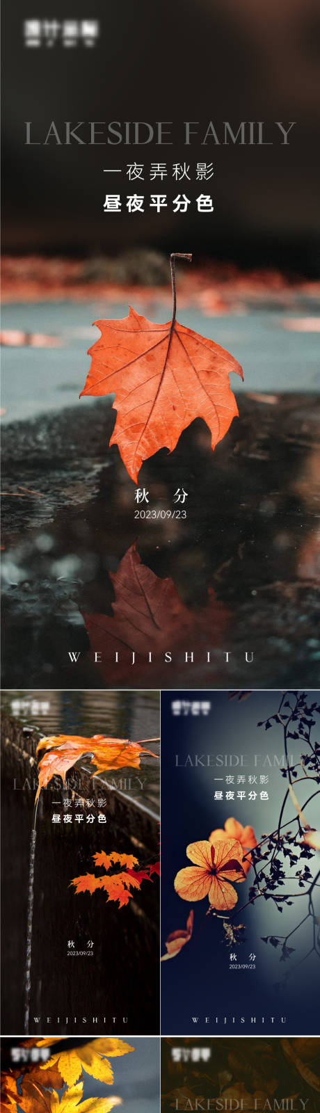 源文件下载【秋分节气海报】编号：65110019371884615