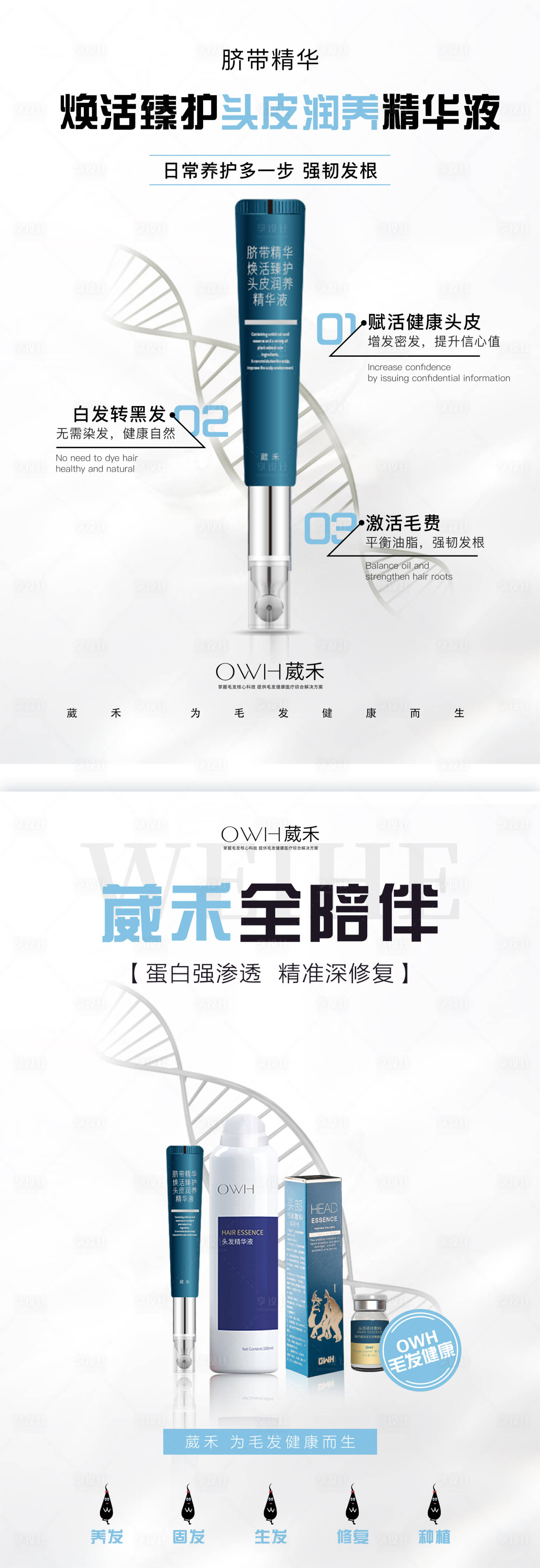 源文件下载【产品介绍海报】编号：61860019555227197