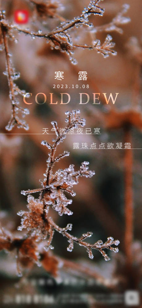 源文件下載【享設計】搜索編號：85710019570744597【寒露節氣移動端海報】