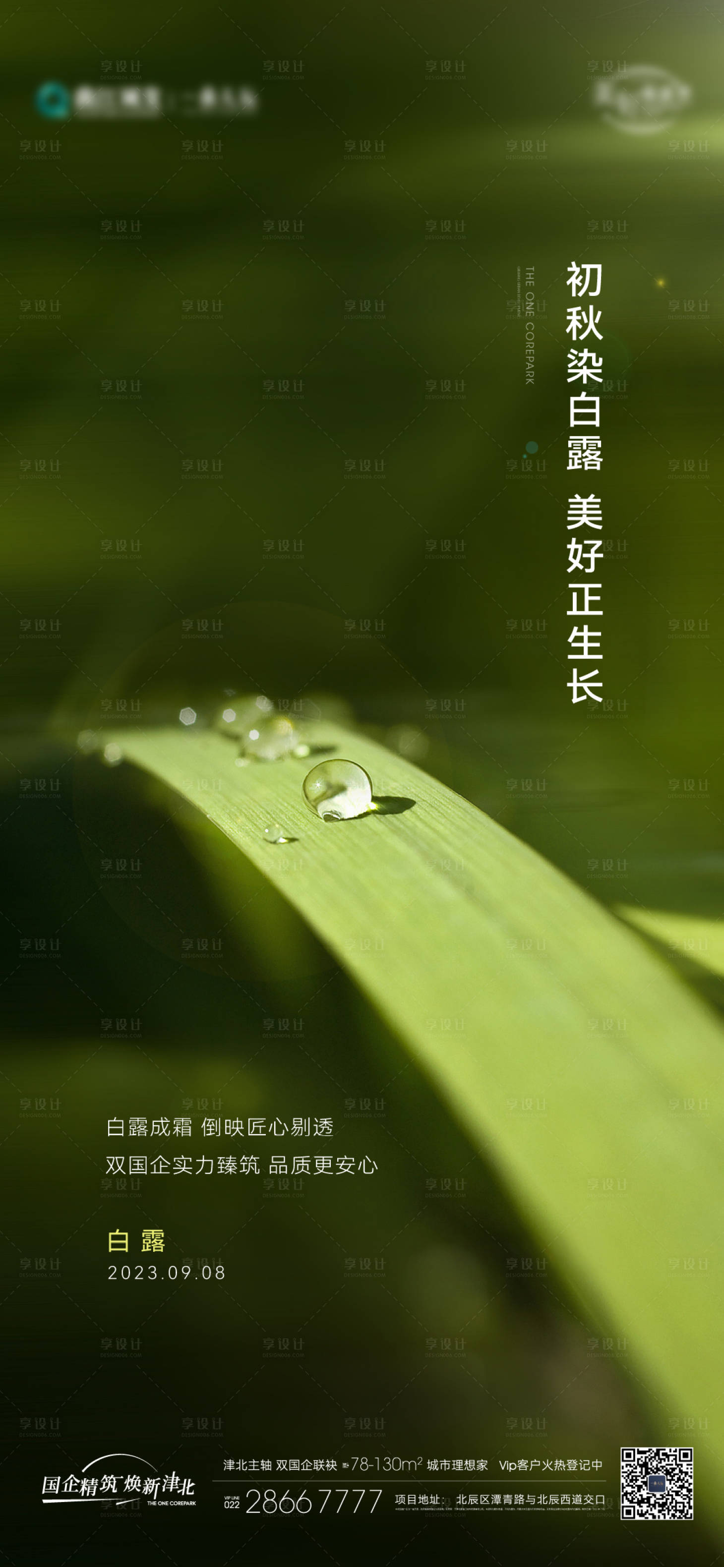 源文件下載【享設計】搜索編號：91120019355103215【白露節氣海報】