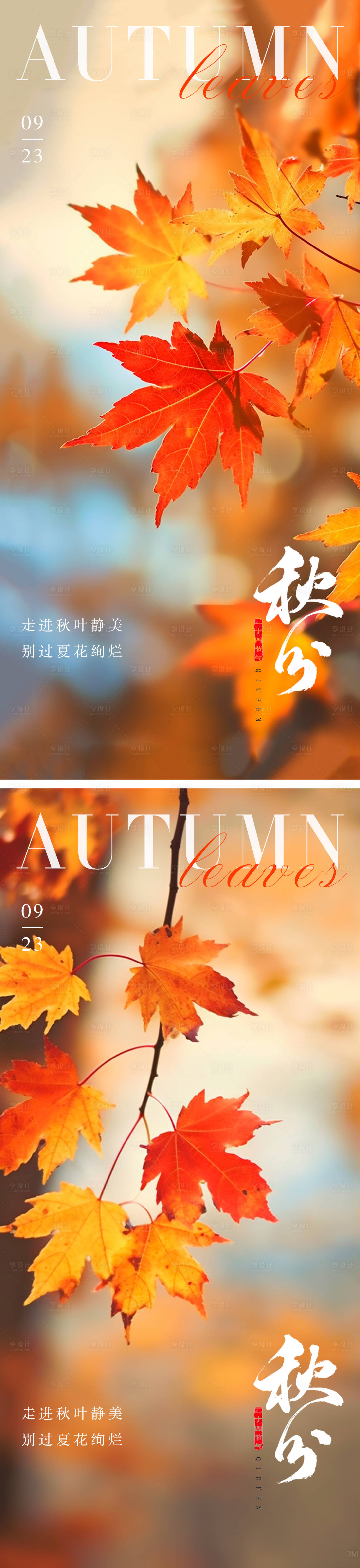 源文件下载【享设计】搜索编号：45740019201471651【秋分节气枫叶系列海报】