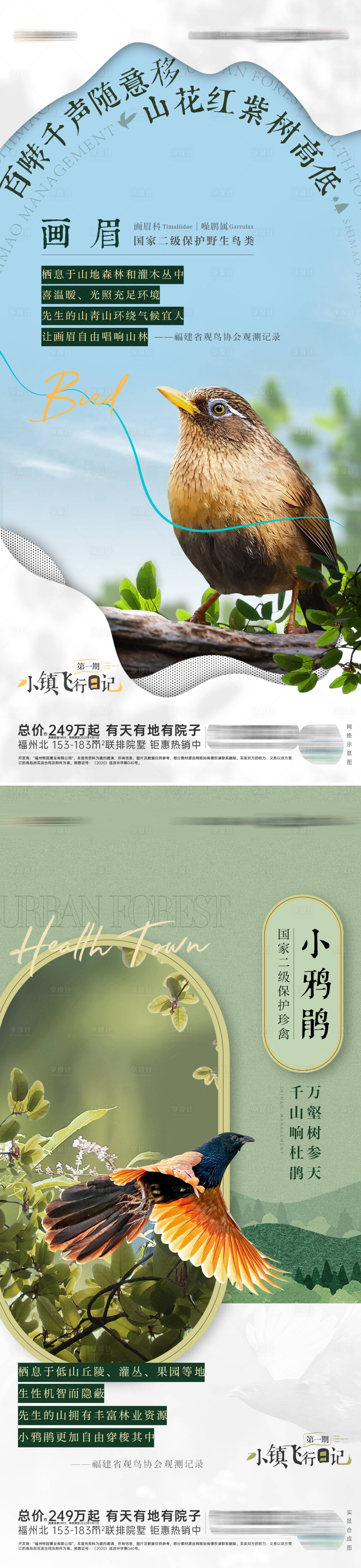 源文件下载【鸟类观测科普海报】编号：64620019277696780