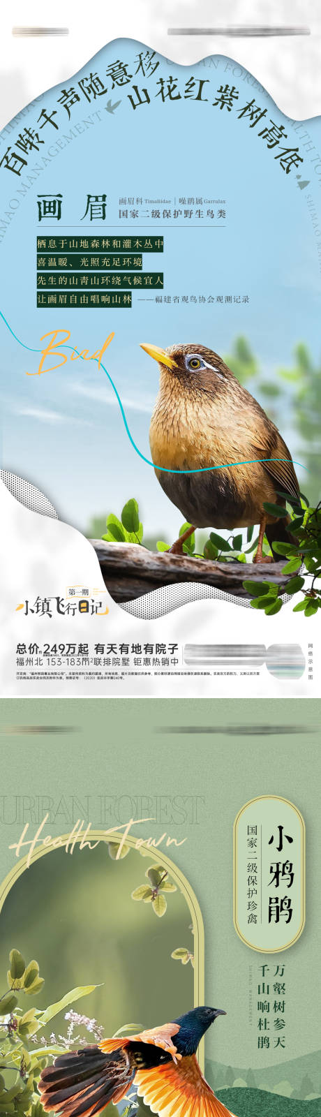 鸟类观测科普海报-源文件【享设计】