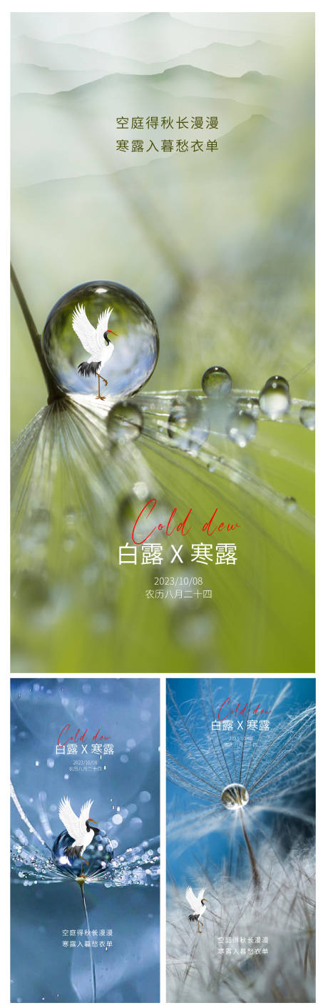 源文件下载【寒露节气系列海报】编号：82330019595209635