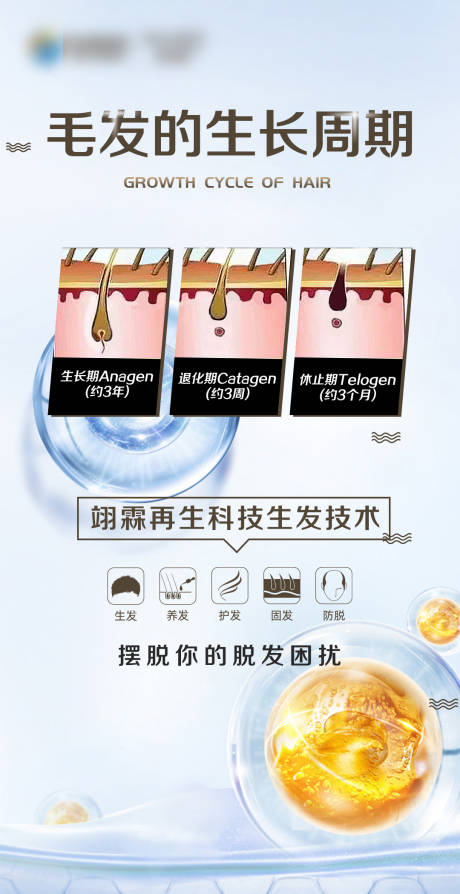 源文件下載【享設計】搜索編號：56050019473494453【防脫產品宣傳】