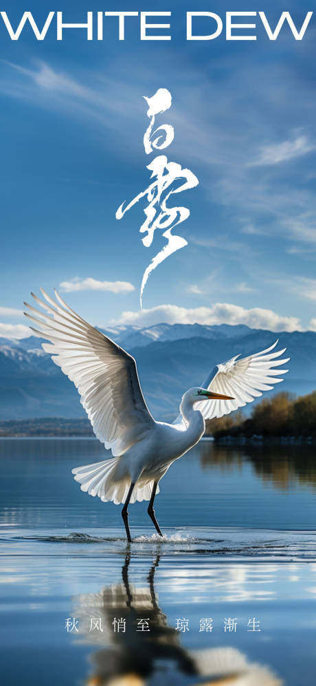 源文件下载【二十四节气白露海报】编号：63200019190249893