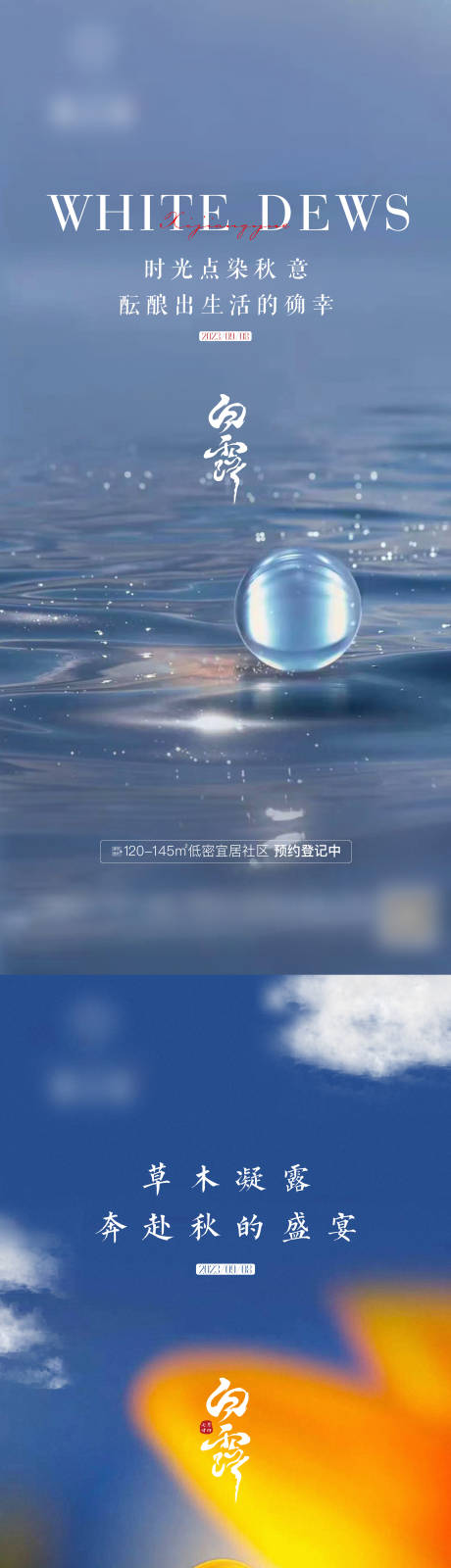 源文件下载【白露海报】编号：87340019150709438