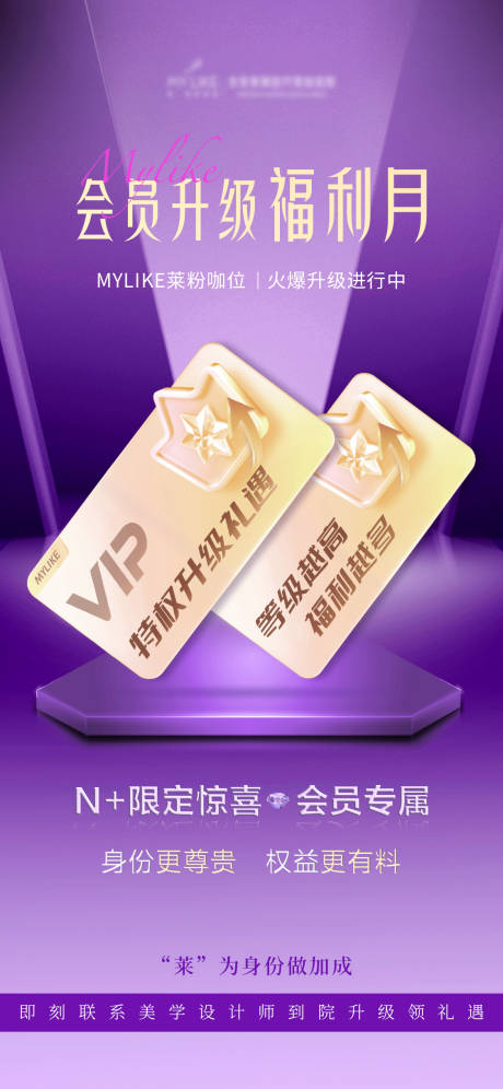 源文件下载【会员活动升级海报】编号：67330019233825024