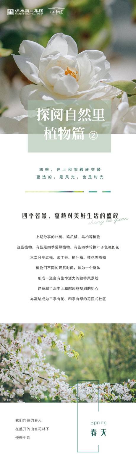 源文件下载【地产项目配套植物篇长图】编号：35170019265308044