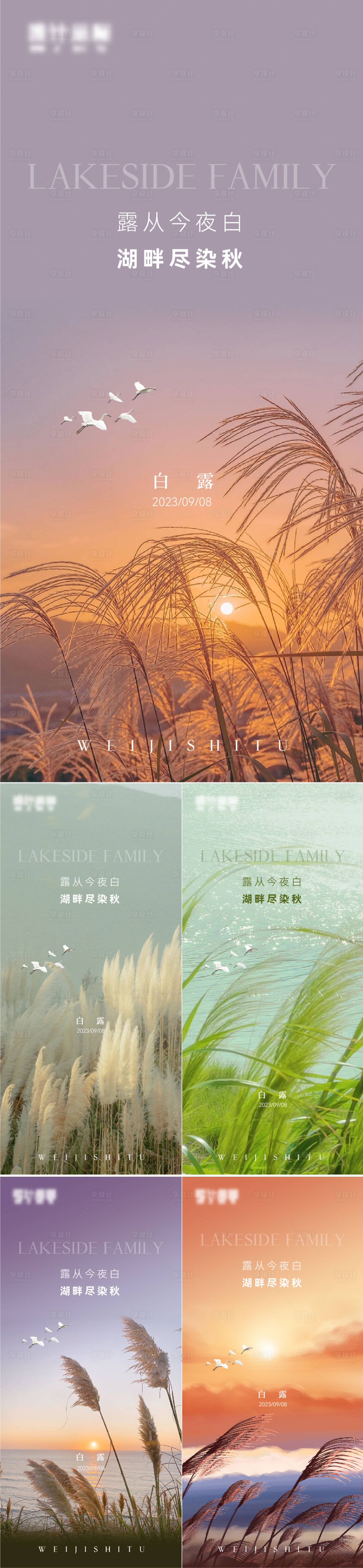 源文件下載【白露】編號：80650019190597413