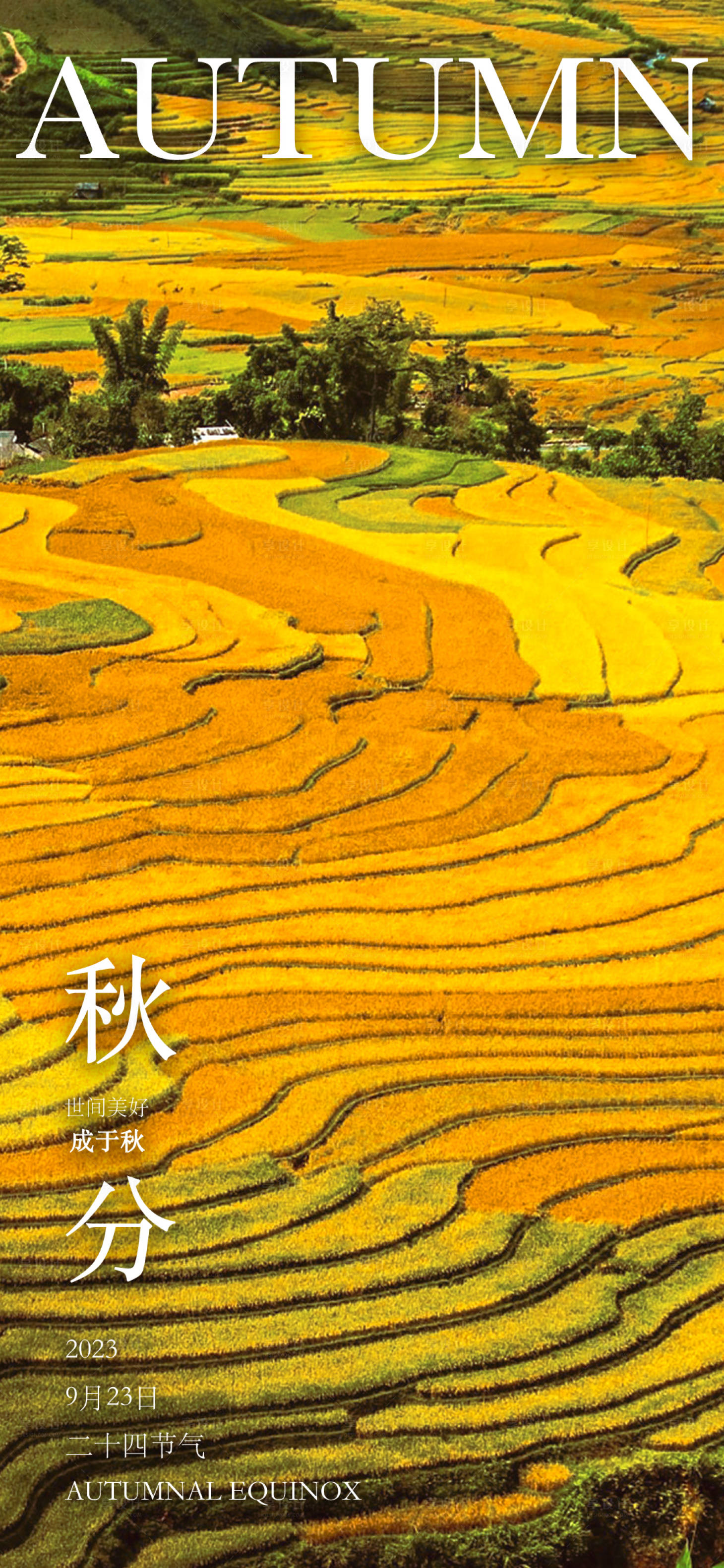 源文件下載【享設(shè)計(jì)】搜索編號(hào)：85740019392959402【秋分二十四節(jié)氣海報(bào)】