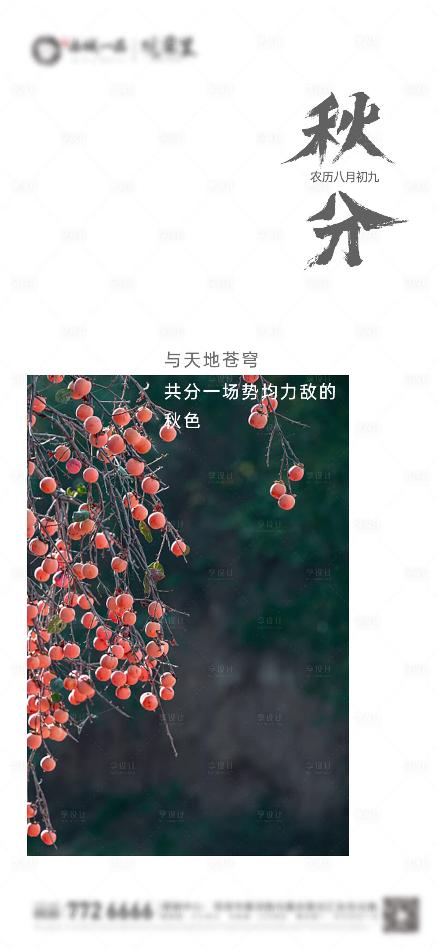 源文件下载【享设计】搜索编号：44070019384465272【地产秋分节气微单】